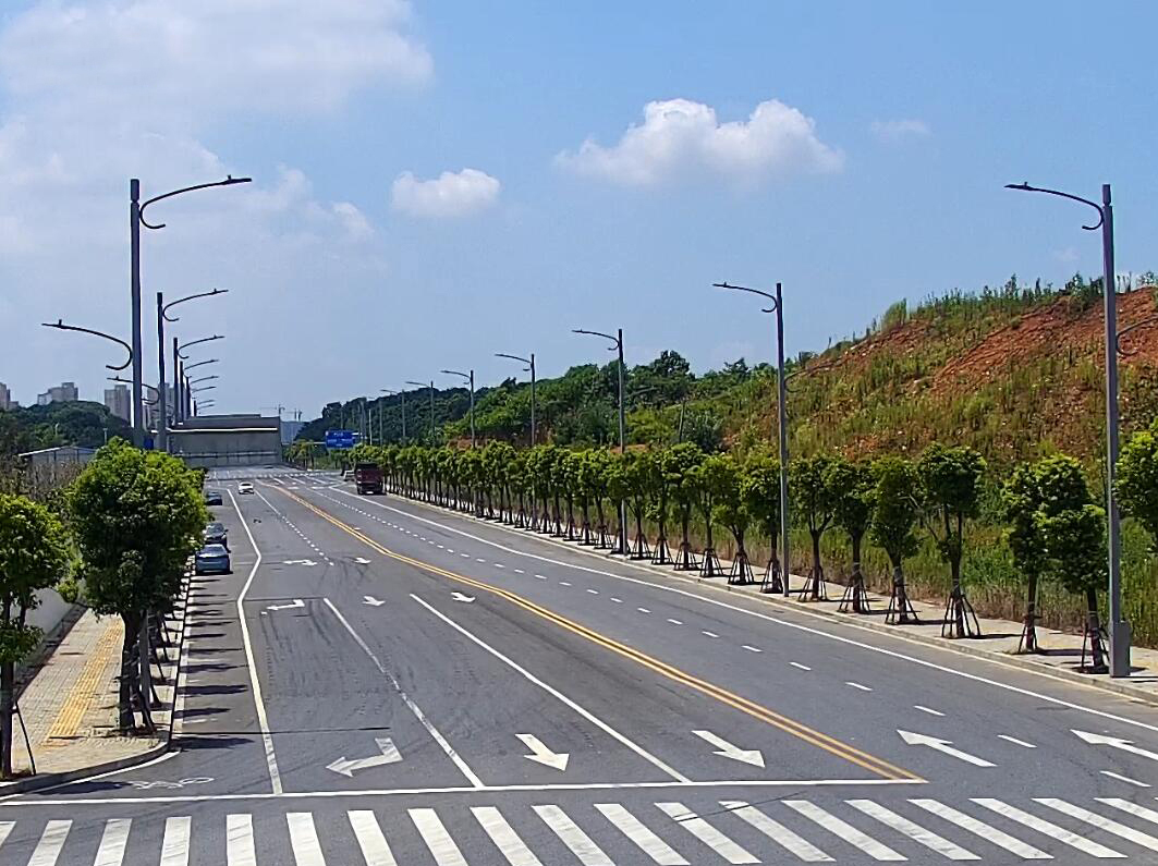 江西省九江市鄱阳湖科技城智慧路灯项目