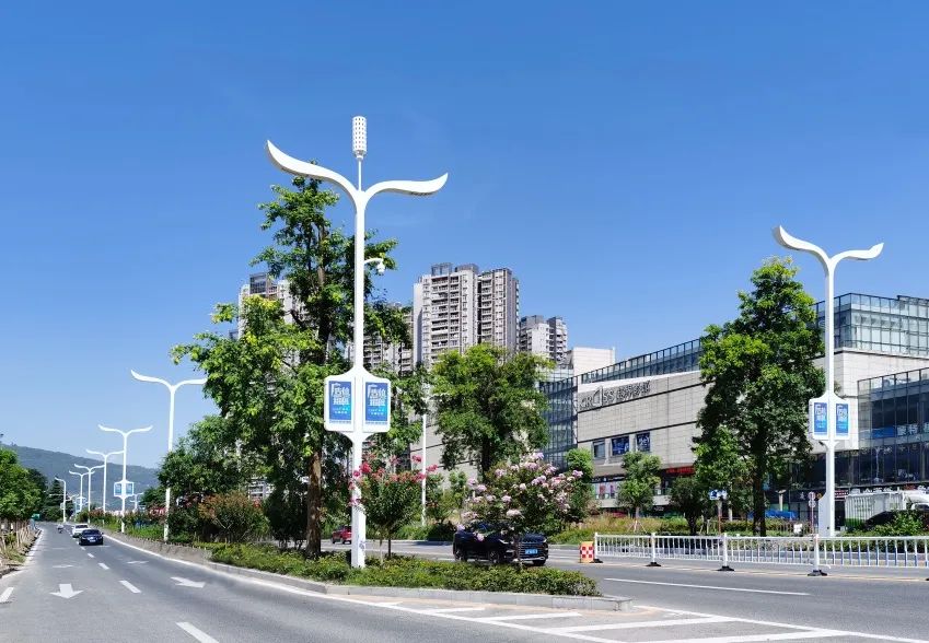 2494杆智慧路灯“点亮”重庆云阳！